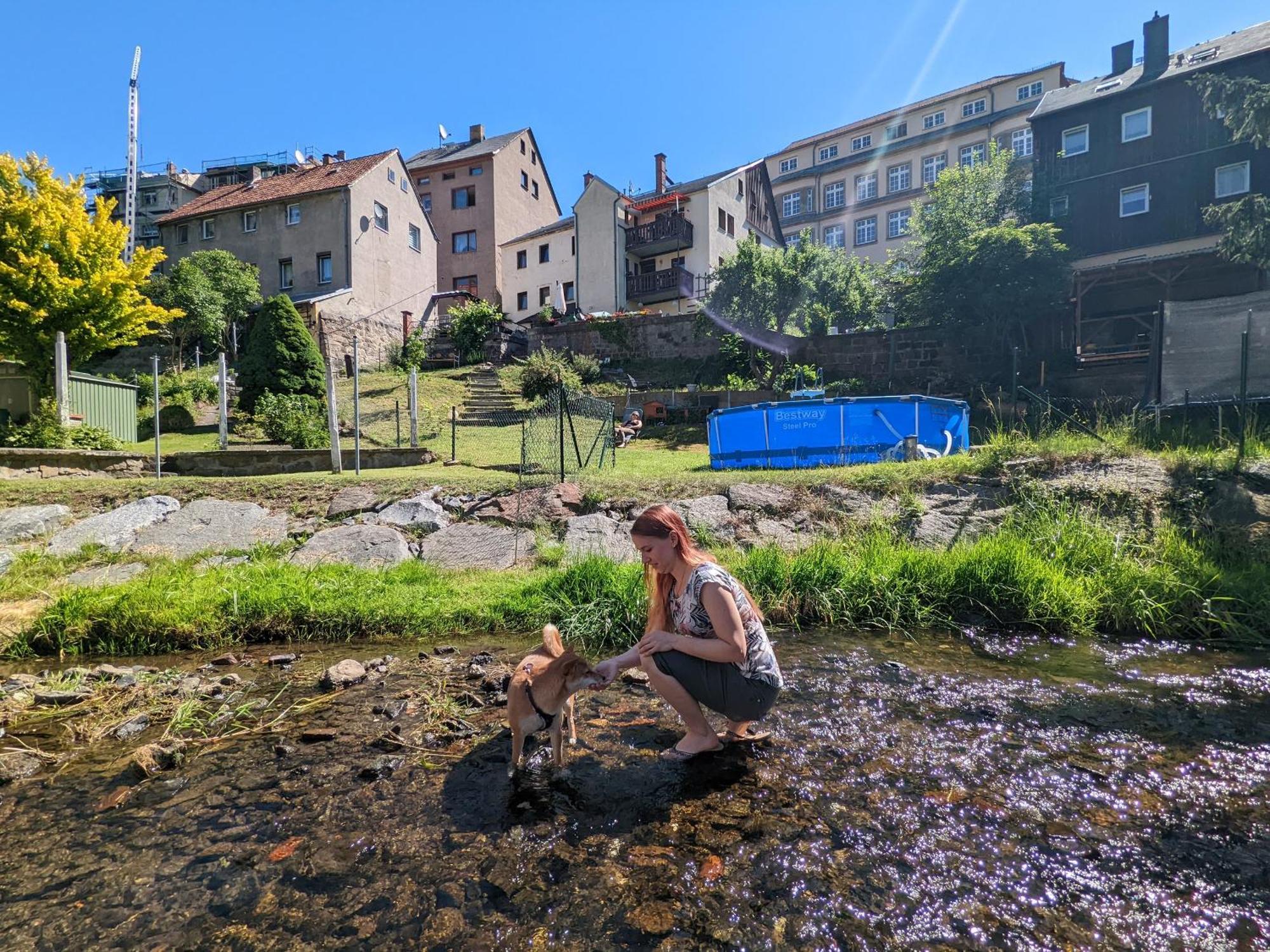 F2 - Urlaubsmagie Sauna, Whirlpool, Pool & Garten Sebnitz Exterior foto