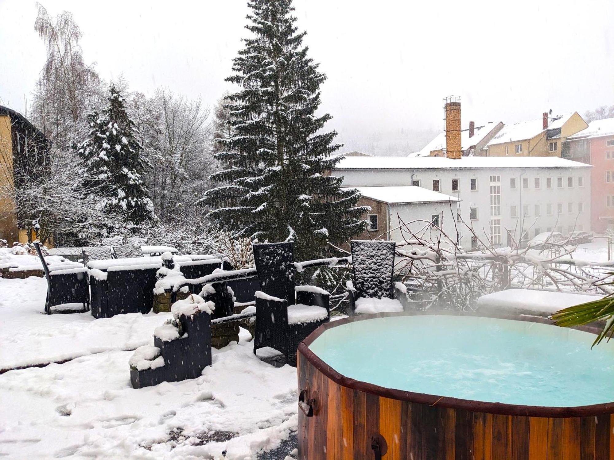 F2 - Urlaubsmagie Sauna, Whirlpool, Pool & Garten Sebnitz Exterior foto