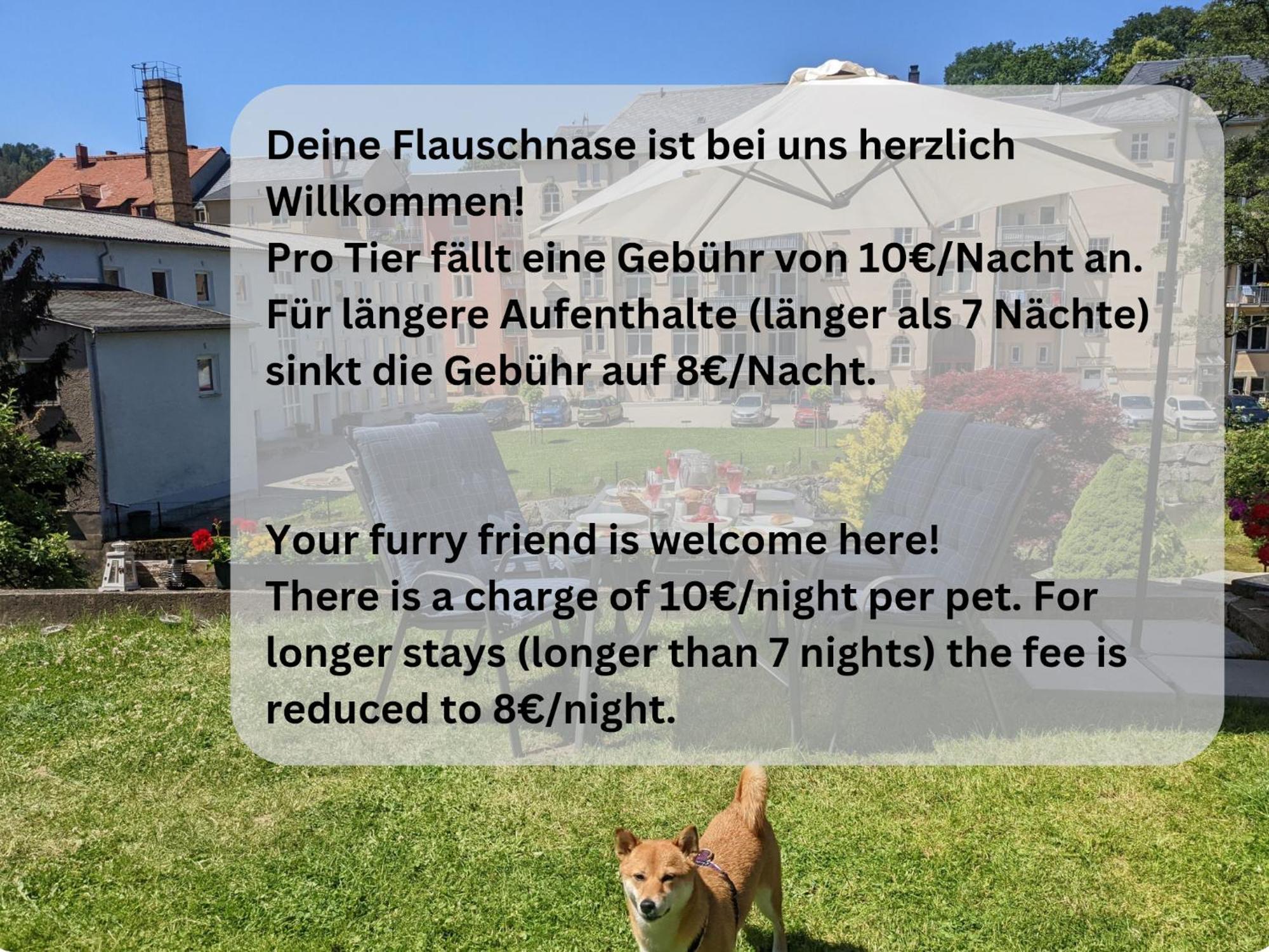 F2 - Urlaubsmagie Sauna, Whirlpool, Pool & Garten Sebnitz Exterior foto